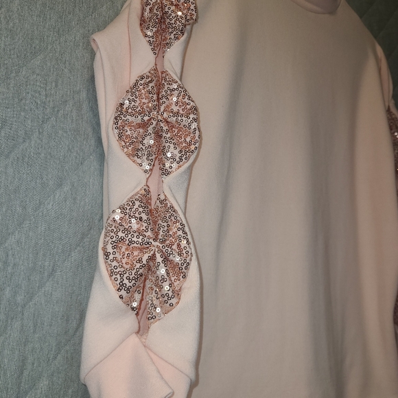 🆕️NWOT Light Pink Crewneck w/ Sequin Bow Detail down Sleeves✨️ Large - Picture 2 of 5